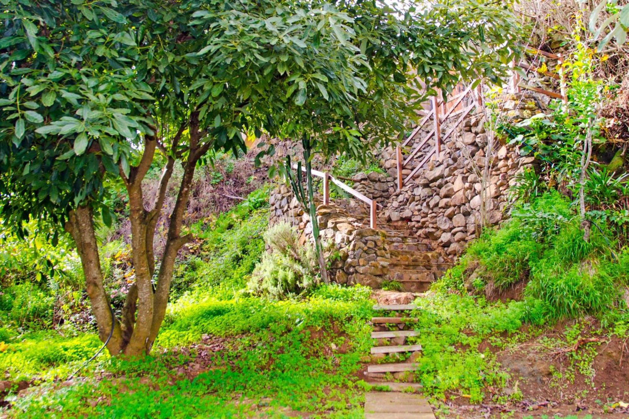 Zenda De Fontanales Villa Moya  ภายนอก รูปภาพ